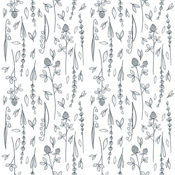 Seamless Floral Pattern. Lavender and Clover on the white background. Decorative Ornament. Black and white Seamless Texture for Textile, Wallpapers, Backgrounds and Wrapping