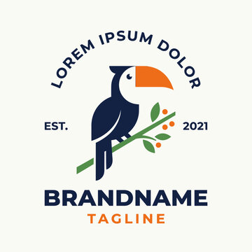 Colorful toucan bird illustration logo for tropical branding.