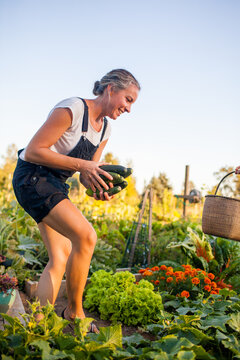 A mother harvests vegetables from her garden