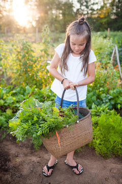A young girl holds a baset of vegetables that her and her family