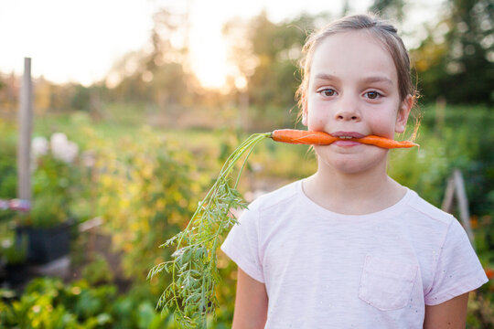 Silly young girl holds a fresh carrot in her mouth