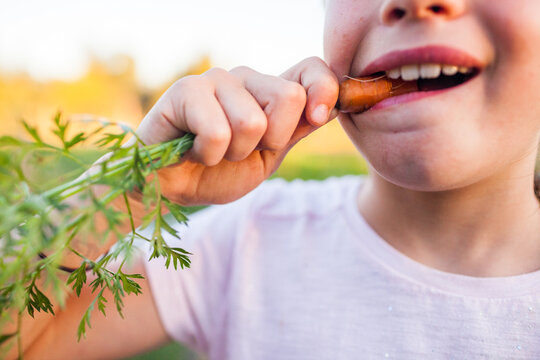 Young girl eating carrot from her garden.