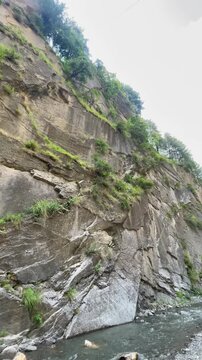 Mountain Goat Standing on Rock Near River in Scenic Rocky Canyon | Vertical Nature Video