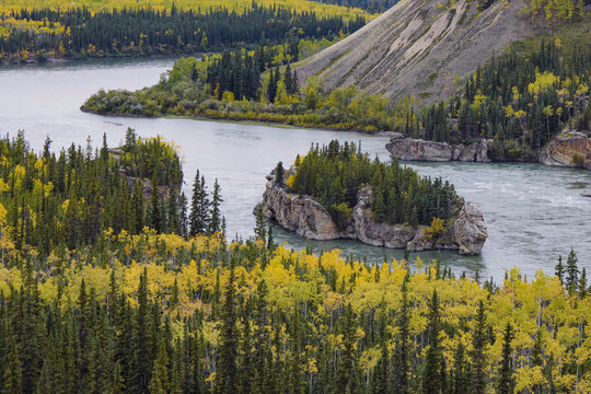 Rocky islet with trees in the Yukon River near an autumn forest