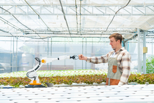 Smart farmer fist bumping collaborative robotic arm in hydroponic greenhouse demonstrating human robot collaboration agricultural automation smart farming innovation and sustainable food production