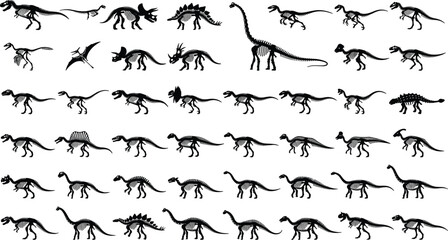 Dinosaur skeleton silhouette vector icons set featuring tyrannosaurus rex triceratops stegosaurus and prehistoric animal fossil bones elements © MD
