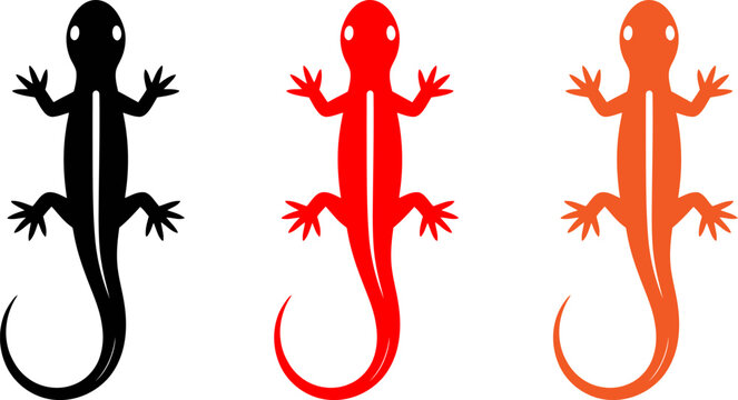 Colorful lizard silhouettes in black red and orange on white background