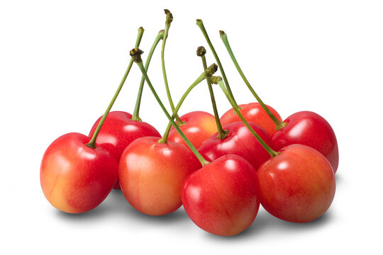 日本のサクランボ / Japanese cherries