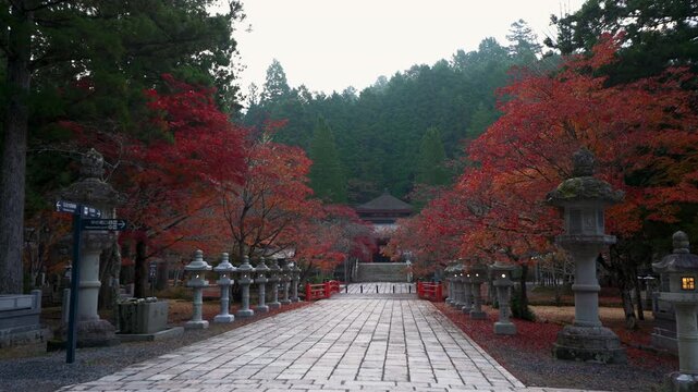 Autumn Foliage at Okunoin, Koyasan &ndash; Eireiden Memorial Hall in Wakayama, Japan　「高野山奥之院・英霊殿の紅葉」和歌山県高野町