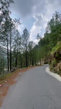 First Person POV Riding on a Scenic Mountain Road Through Pine Forest in Abbottabad, Khyber Pakhtunkhwa, Pakistan | Vertical Video