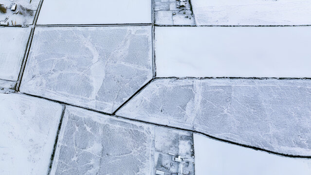 Minimalist Snow Covered Winter Farmland Patterns with Geometric Fields and Hedgerows