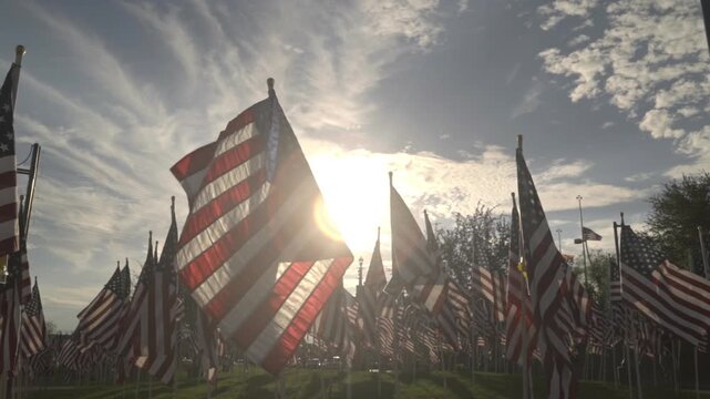 Rows of American flags wave joyfully in the wind at an outdoor memorial park. The warm, backlit sunset creates a hopeful, patriotic atmosphere for Independence Day and national celebrations.