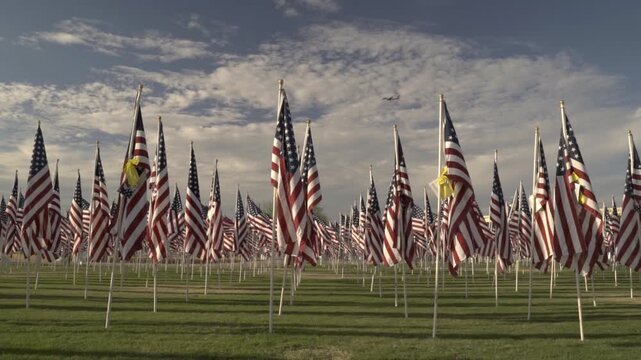 Symmetrical wide shot of rows of American flags waving in light wind at an outdoor memorial park with an airplane flying overhead. The patriotic scene evokes national pride in a cinematic style.