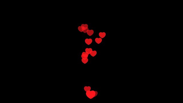 Red heart fountain fly up animation on transparent background. Live stream reactions in social media. Follower like support. Love button emoji motion graphic. 