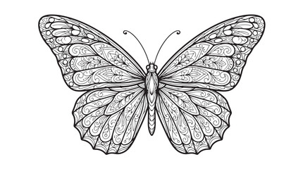 Intricate butterfly mandala vector illustration, ornate black and white butterfly line art, decorative insect coloring page for adults © Muhammad