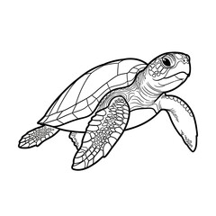 Fototapeta premium Black and White Line Drawing Sea Turtle Swimming Side View