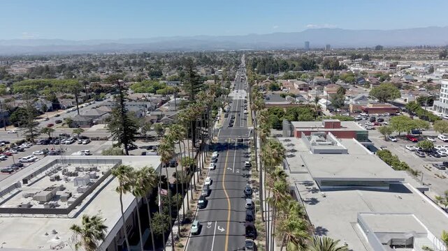 aerial above the palms in oxnard california