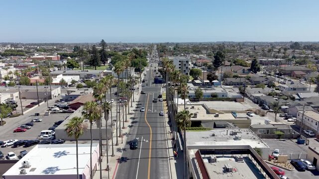 palms in the city of oxnard california