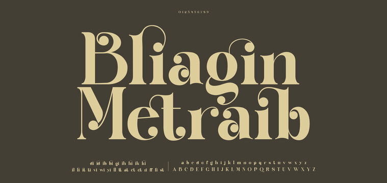 Bliagin Metraib Beauty fashion Luxury font alphabet logo. Typography beautiful elegant classic letters serif italic fonts decorative wedding vintage retro logos. vector illustration