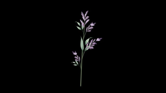 Botanical Micro Element 11