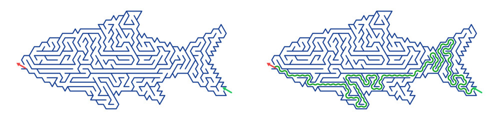 Vector maze puzzle in the shape of fish with a travel theme and solution   © Vera Kokorina