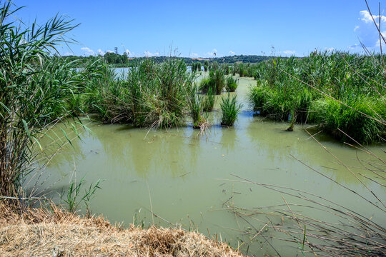 Laghi di Chiusi e di Montepulciano