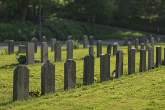Weathered headstones scattered across peaceful green cemetery lawn.