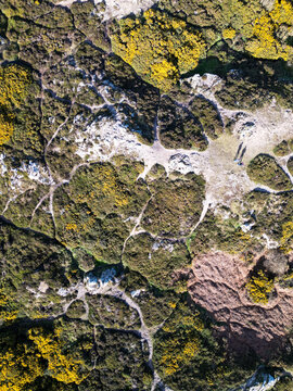 Aerial view of the rugged landscape of Howth with yellow gorse bushes, rocky paths, and two people walking, Dublin, County Dublin, Ireland.