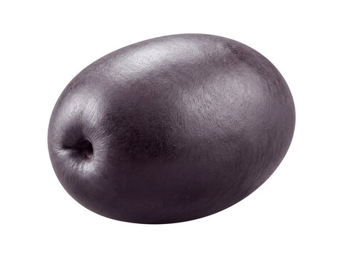 Fresh, dark black olive, glossy and ripe, viewed close-up and isolated on a transparent background for culinary design.