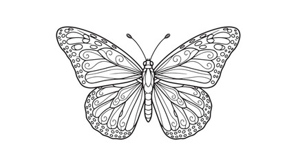 Intricate butterfly line art illustration, detailed monarch butterfly coloring page vector, black and white insect sketch for creative hobby projects © Naveed