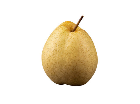 Photograph of a single, vibrant yellow Nashi pear, sometimes called apple pear, showcasing its natural texture.