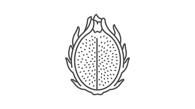Elegant Black and White Line Drawing of a Dragonfruit Cross Section with Floral Ends with high quality professional line art symbols for modern creative design and digital branding projects