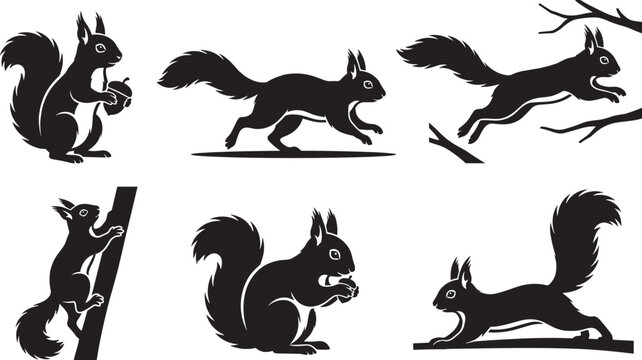 Squirrel silhouette icon vector set featuring wild rodents running jumping climbing tree branches and eating acorns in nature.