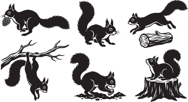 Squirrel silhouette vector graphic set featuring wild forest rodents jumping hanging on branches sitting on stumps and carrying pinecones.