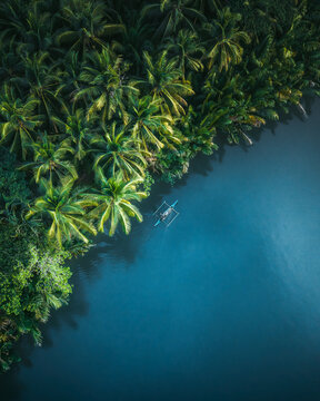 Aerial view of Loboc River with a small outrigger boat floating on the calm blue water, surrounded by dense tropical palm trees, Bohol, Central Visayas, Philippines.