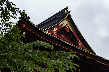 Fototapeta premium 日本周遊 日光寺社巡り