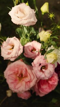 Vertical video. Wedding bouquet of pink roses and lisianthus resting on grass during golden hour.