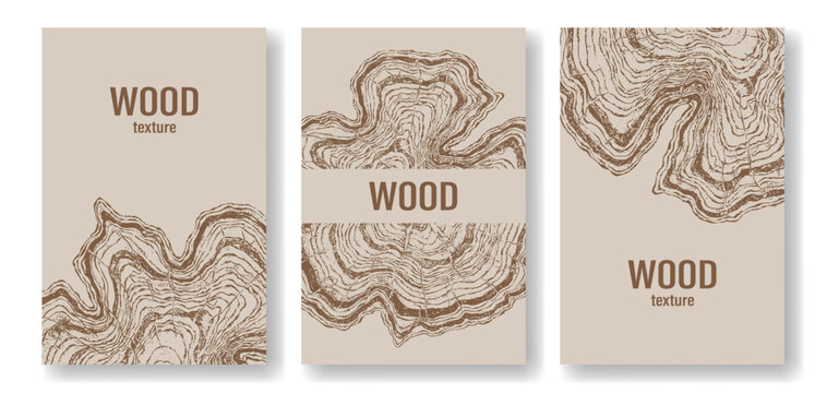 Wood texture poster set, vintage engraved tree ring templates with natural timber patterns and rustic wooden backgrounds collection