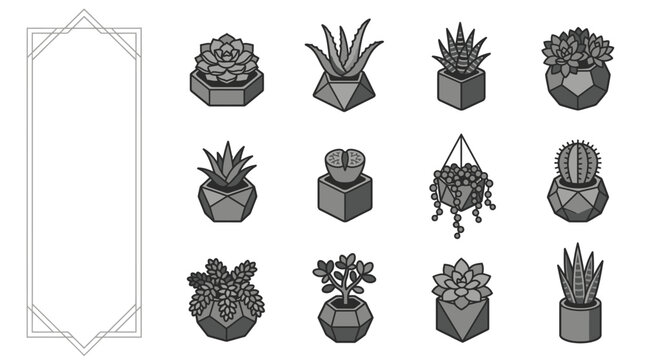 Industrial Style of Geometric Planters with Various Succulent Plants and Cacti in Monochrome with high quality professional line art symbols for modern creative design and digital branding projects