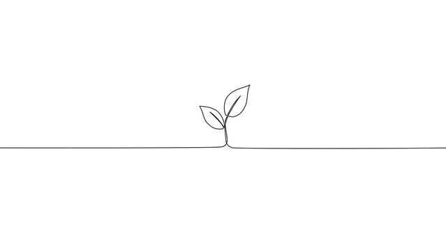 One Line Drawing Plant Sprout