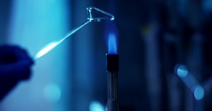 Laboratory worker sterilizing a glass spreading tool over the blue flame of a bunsen burner