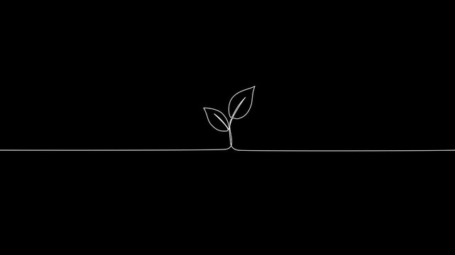 One Line Drawing Plant Sprout Animation on Black