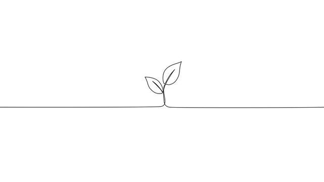 One Line Drawing Plant Sprout Animation