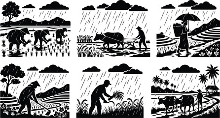 Farmers working in rice fields during rainy season © MARISH