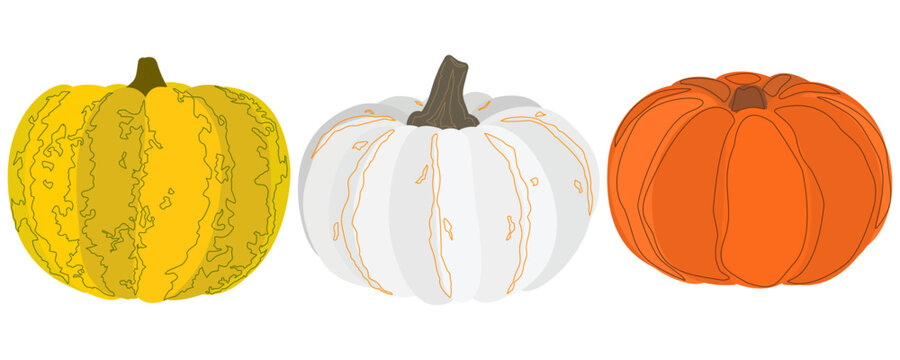 Set of three different vector pumpkins for autumn season and halloween design.