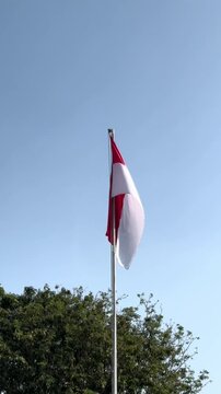 Indonesian flag waving in the wind against clear blue sky and green trees background. Vertical video of Sang Saka Merah Putih, national symbol of Indonesia.