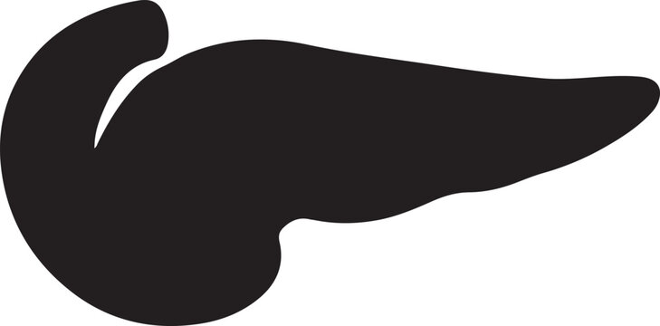 Pancreas icon, black silhouette vector, solid digestive gland symbol EPS for medical and anatomy graphics.