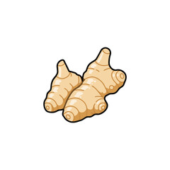 Obraz premium Aromatic Ginger Root Flat Vector Illustration