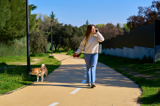 Mature woman walking dog making phone call