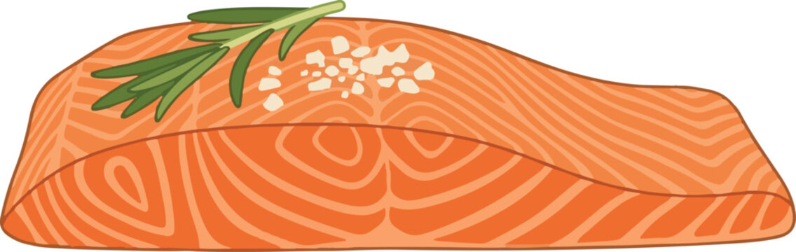 Fresh raw salmon fillet steak with rosemary and sea salt vector illustration